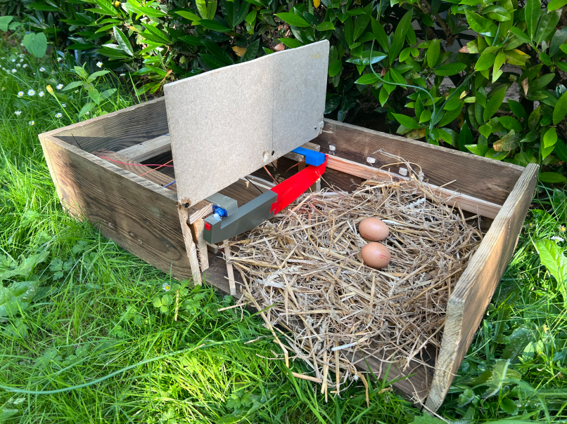 Egg Detector project screenshot