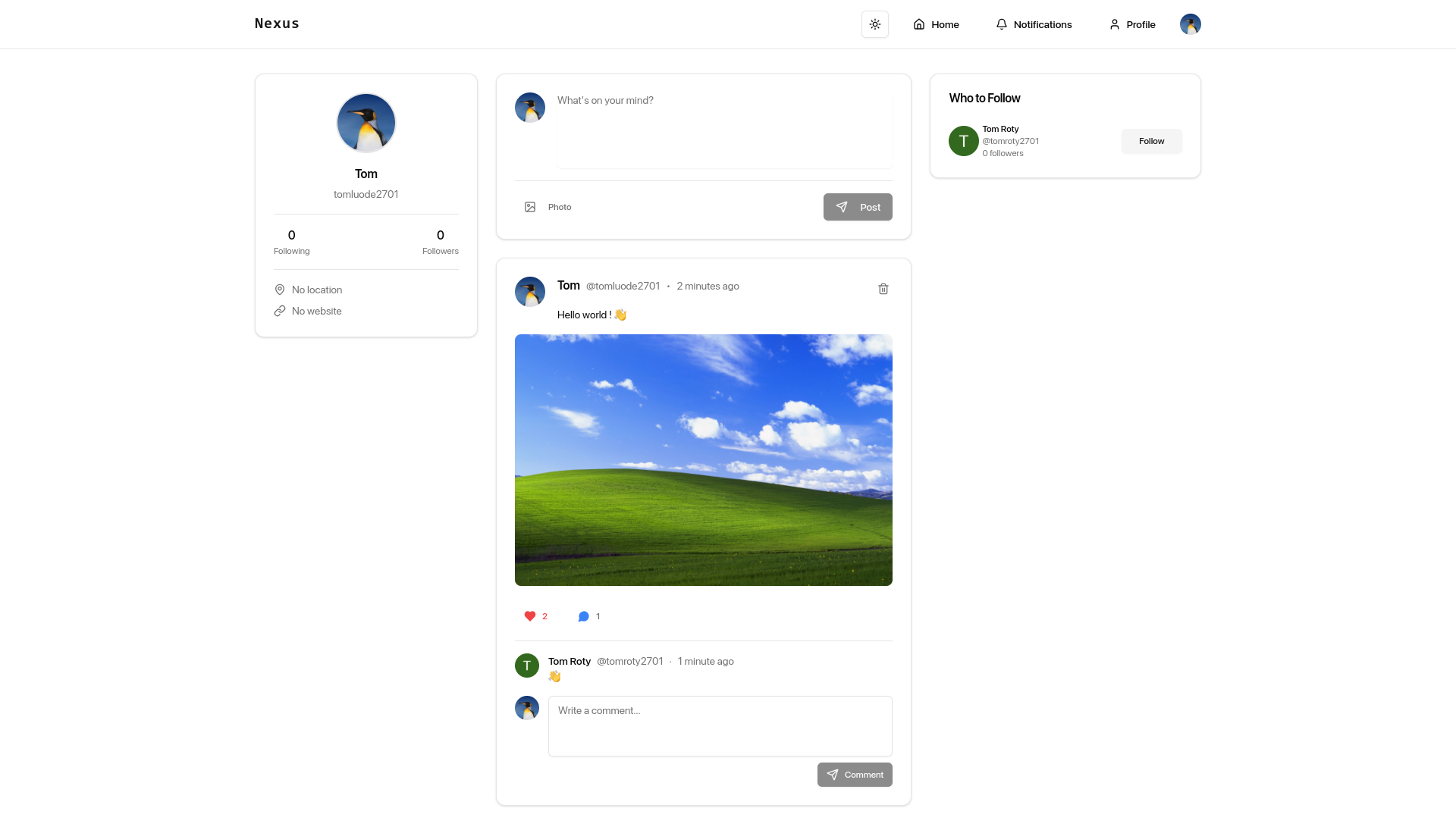 Nexus social media project screenshot