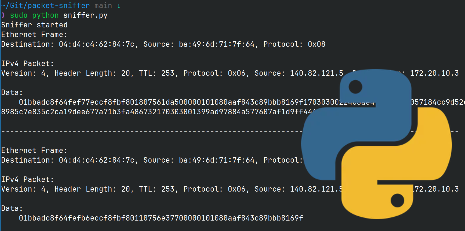 Packet Sniffer project screenshot